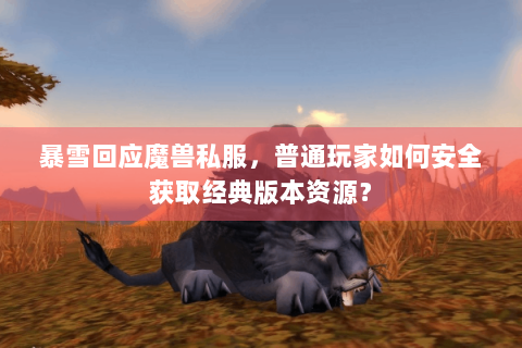暴雪回应魔兽私服，普通玩家如何安全获取经典版本资源？