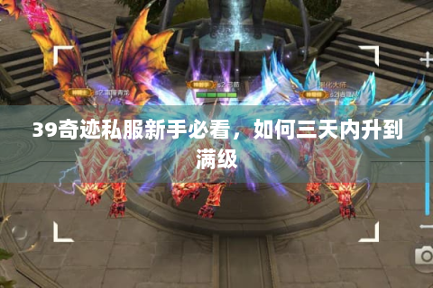 39奇迹私服新手必看，如何三天内升到满级