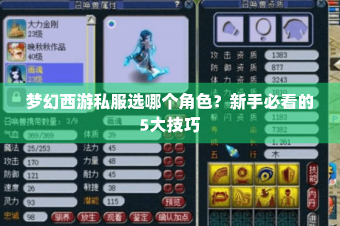 梦幻西游私服选哪个角色？新手必看的5大技巧