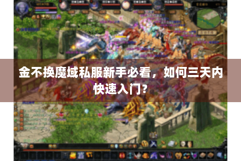 金不换魔域私服新手必看，如何三天内快速入门？