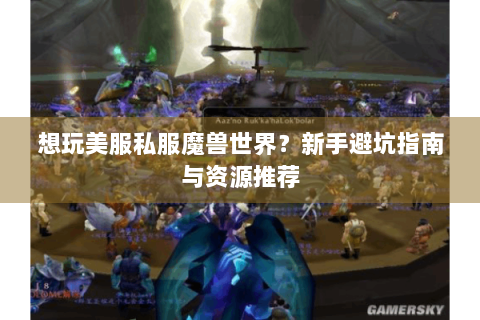 想玩美服私服魔兽世界？新手避坑指南与资源推荐
