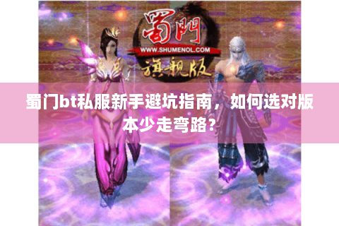 蜀门bt私服新手避坑指南，如何选对版本少走弯路？