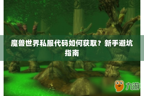 魔兽世界私服代码如何获取？新手避坑指南
