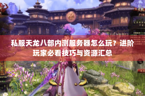 私服天龙八部内测服务器怎么玩？进阶玩家必看技巧与资源汇总