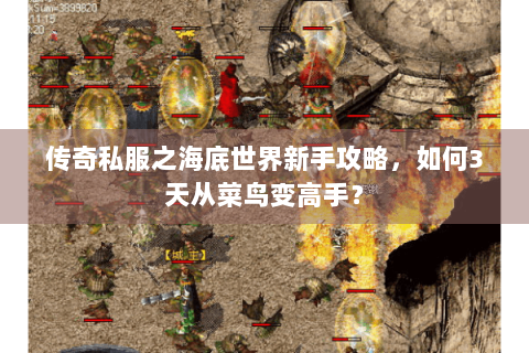 传奇私服之海底世界新手攻略，如何3天从菜鸟变高手？