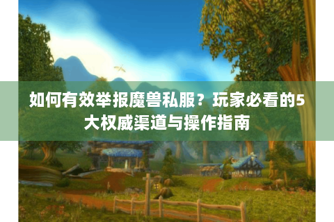 如何有效举报魔兽私服？玩家必看的5大权威渠道与操作指南