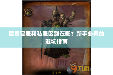 魔兽官服和私服区别在哪？新手必看的避坑指南