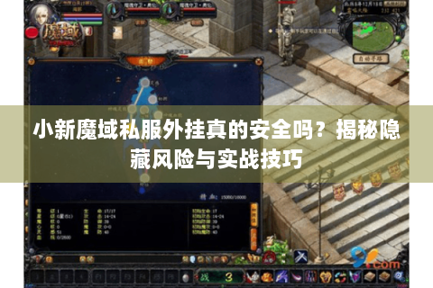 小新魔域私服外挂真的安全吗？揭秘隐藏风险与实战技巧