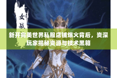 新开完美世界私服店铺爆火背后，资深玩家揭秘资源与技术黑箱