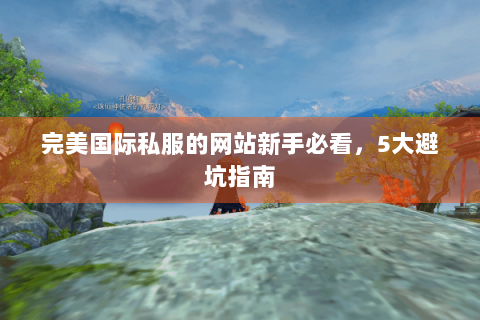 完美国际私服的网站新手必看，5大避坑指南