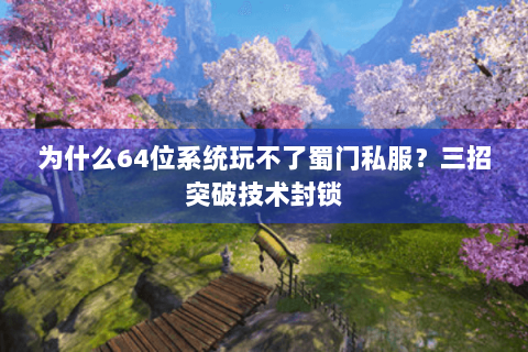 为什么64位系统玩不了蜀门私服？三招突破技术封锁