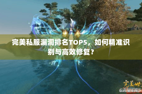 完美私服漏洞排名TOP5，如何精准识别与高效修复？