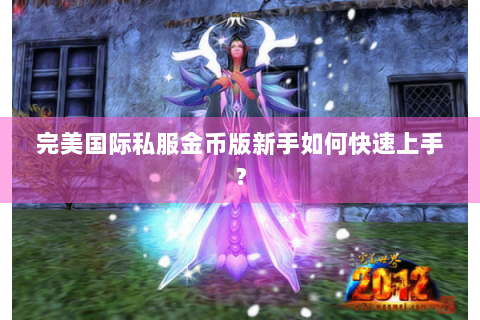 完美国际私服金币版新手如何快速上手？