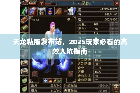 天龙私服发布站，2025玩家必看的高效入坑指南