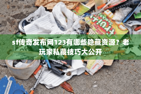 sf传奇发布网123有哪些隐藏资源？老玩家私藏技巧大公开