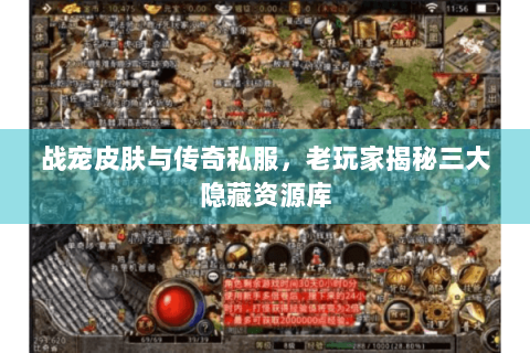 战宠皮肤与传奇私服，老玩家揭秘三大隐藏资源库