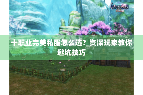 十职业完美私服怎么选？资深玩家教你避坑技巧