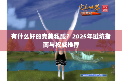 有什么好的完美私服？2025年避坑指南与权威推荐