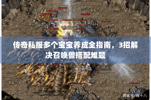 传奇私服多个宝宝养成全指南，3招解决召唤兽搭配难题