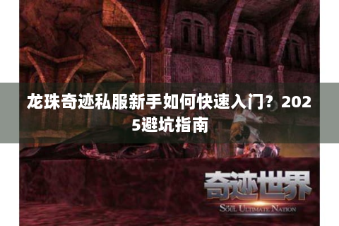 龙珠奇迹私服新手如何快速入门？2025避坑指南