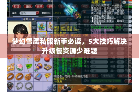 梦幻雪鹰私服新手必读，5大技巧解决升级慢资源少难题