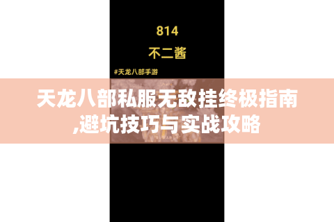 天龙八部私服无敌挂终极指南,避坑技巧与实战攻略