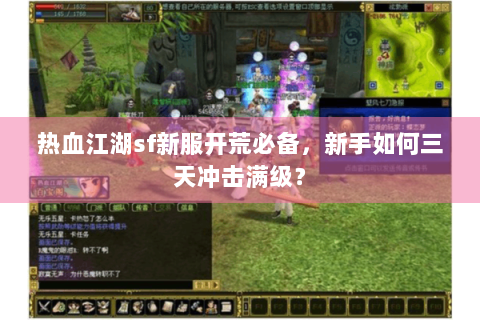 热血江湖sf新服开荒必备，新手如何三天冲击满级？