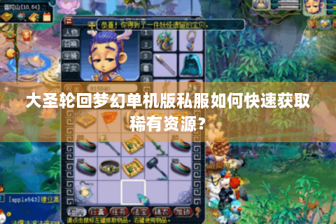 大圣轮回梦幻单机版私服如何快速获取稀有资源？