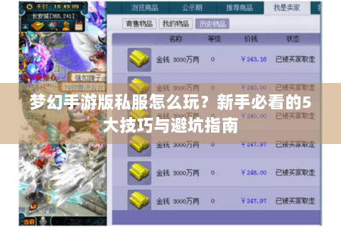 梦幻手游版私服怎么玩？新手必看的5大技巧与避坑指南
