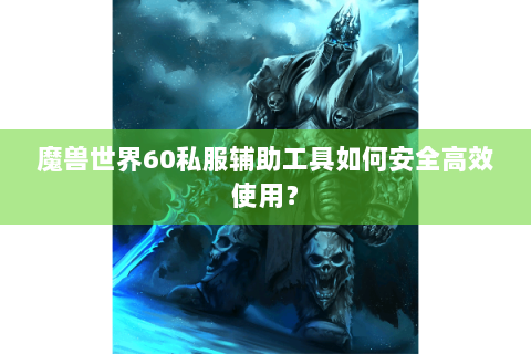 魔兽世界60私服辅助工具如何安全高效使用？