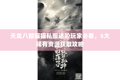 天龙八部猫猫私服进阶玩家必看，5大稀有资源获取攻略