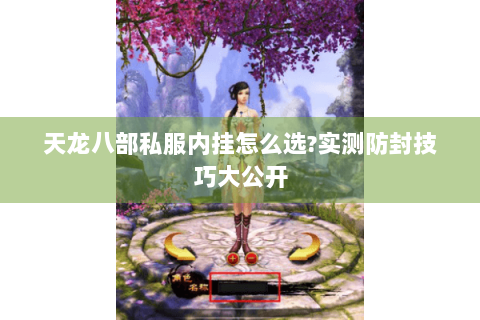 天龙八部私服内挂怎么选?实测防封技巧大公开