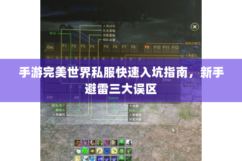 手游完美世界私服快速入坑指南，新手避雷三大误区