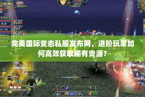 完美国际变态私服发布网，进阶玩家如何高效获取稀有资源？