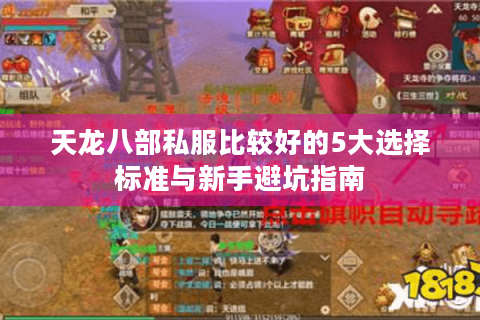 天龙八部私服比较好的5大选择标准与新手避坑指南