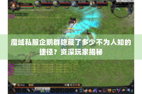魔域私服企鹅群隐藏了多少不为人知的捷径？资深玩家揭秘