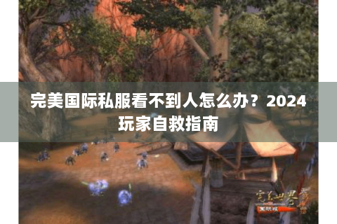 完美国际私服看不到人怎么办？2024玩家自救指南
