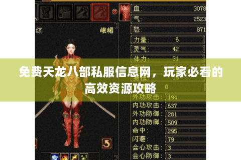 免费天龙八部私服信息网，玩家必看的高效资源攻略