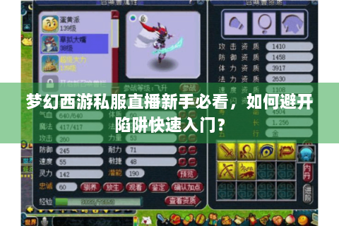 梦幻西游私服直播新手必看，如何避开陷阱快速入门？
