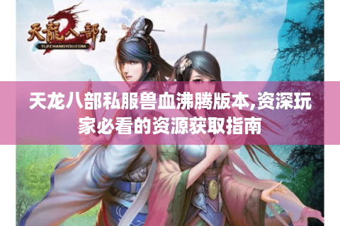 天龙八部私服兽血沸腾版本,资深玩家必看的资源获取指南