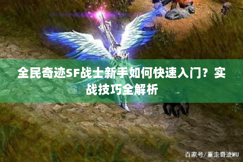 全民奇迹SF战士新手如何快速入门？实战技巧全解析