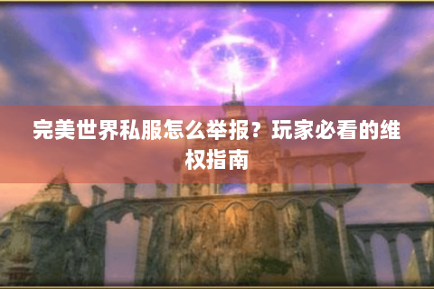 完美世界私服怎么举报？玩家必看的维权指南