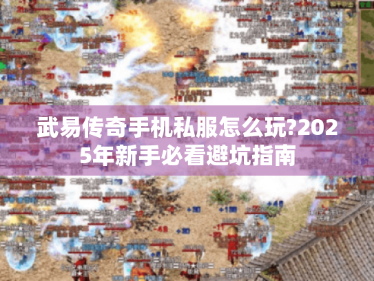 武易传奇手机私服怎么玩?2025年新手必看避坑指南