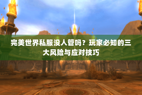 完美世界私服没人管吗？玩家必知的三大风险与应对技巧