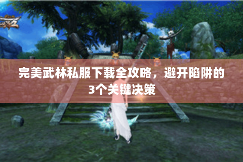 完美武林私服下载全攻略，避开陷阱的3个关键决策