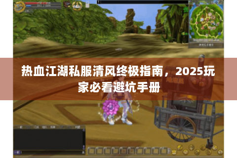 热血江湖私服清风终极指南，2025玩家必看避坑手册