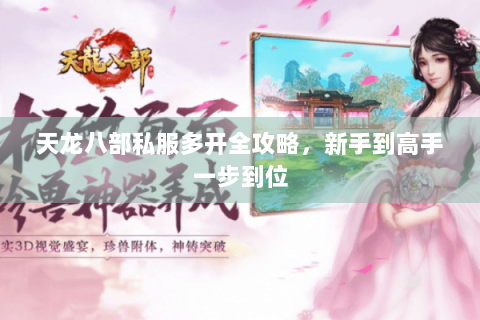 天龙八部私服多开全攻略，新手到高手一步到位