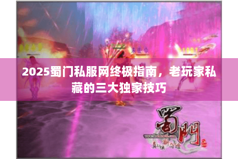 2025蜀门私服网终极指南，老玩家私藏的三大独家技巧