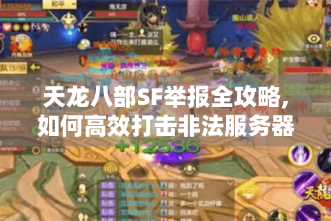 天龙八部SF举报全攻略,如何高效打击非法服务器
