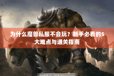 为什么魔兽私服不会玩？新手必看的5大难点与通关指南